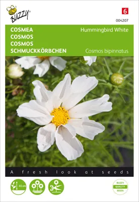 Obrázok produktu pre Cosmos Hummingbird White | Semená kvetu Cosmos Hummingbird White od spoločnosti Buzzy Seeds