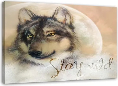 Produktbild von Leinwandbild wolf tiere bleiben wild 120x80 cm Feeby beige wandbild bereit zum aufhängen