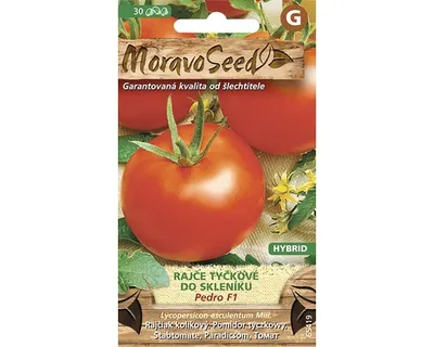 Produktbild von Gewächshaustomate PEDRO F1 MoravoSeed