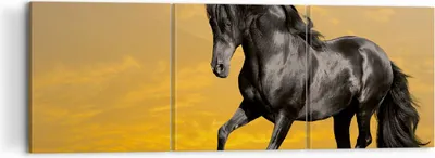 Produktbild von Bild auf Leinwand - Leinwandbild - Tiere Pferd Laufen Wiese - 120x40cm - Wand Bild - Wanddeko - Leinwanddruck - Bilder - Kunstdruck - Wanddekoration - Leinwand bilder - Wandkunst - CA120x40-2248