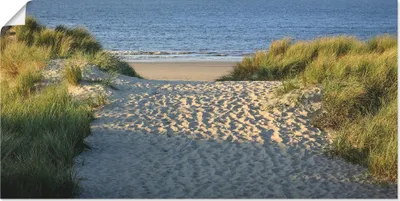 Produktbild von ARTland Poster Strandaufgang Größe: 60x30 cm