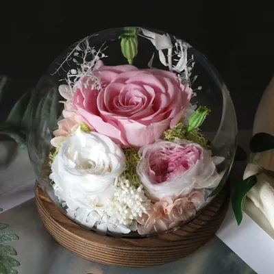 Ewige Rose in Glas mit Licht, rosa, konservierte echte Blume