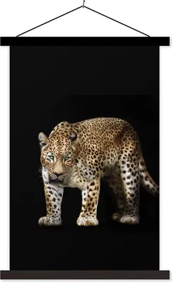 Produktbild von MuchoWow® Textilposter Leopard - Schwarz - Tiere 60x90 cm mit schwarzem Rahmen - Poster Wohnzimmer