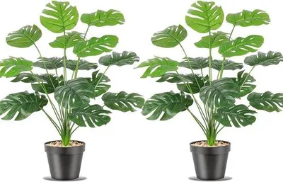 Produktbild von Famanu Kunstpflanze Monstera 18 Äste 50 cm - Grüne Blätter