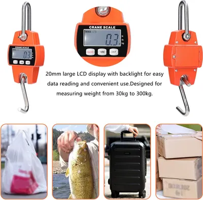 Image de Mini balance LCD numérique 2-300kg grue suspendue électronique industrielle portable à crochet