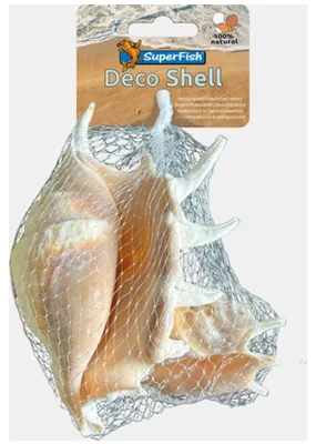 Productafbeelding van SuperFish Decoratieschelp Spider | natuurlijke schelpdecoratie voor aquarium | 200 gram