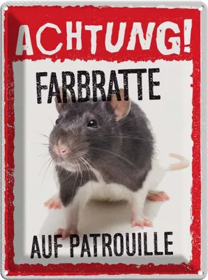 Produktbild von vianmo Blechschild 40x30 cm Achtung Farbratte auf Patrouille Witz Humor Lustig Spaß