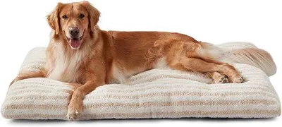 Produktbild von XL Hundebett für große Hunde, waschbarer Hundekissen weich und dongy, atmungsaktives rutschfestes Hundebett, Pluche Hundematte 102x70x10cm für drinnen
