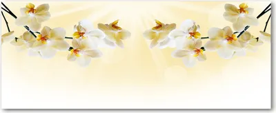 Produktbild von Tulup® Glas-Bild Wandbild aus Glas - 125x50 - Wandkunst - Wandbild hinter gehärtetem Sicherheitsglas - Dekorative Wand für Küche & Wohnzimmer  - Blumen & Pflanzen - Orchidee - Beige