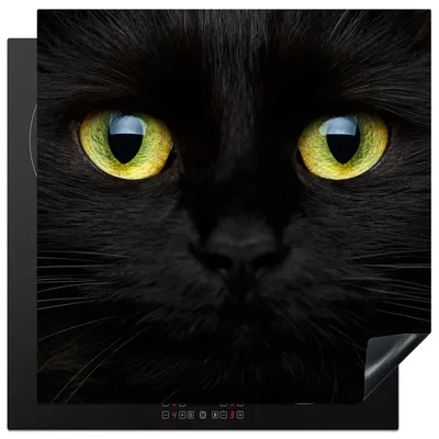 Produktbild von KitchenYeah© Herdabdeckplatte Katze - Schwarz - Tiere - Katzen , 78x78cm, Küche Deko, Glaskeramikkochfeld Herdabdeckung, Abdeckplatte fùr Kochfeld