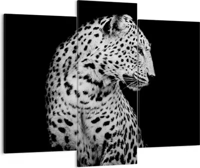 Produktbild von Bild auf Leinwand - Leinwandbild - 3 Teile - Leopard Panther Katze - 130x100cm - Wand Bild - Wanddeko - Wandbilder - Leinwanddruck - Bilder - Wanddekoration - Leinwand bilder - CB130x100-4919
