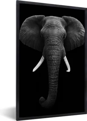 Produktbild von MuchoWow® Gerahmtes Poster Elefant - Wildtiere - Schwarz - Weiß - Porträt 60x90 cm - Poster mit Schwarzem Bilderrahmen Wandposter Rahmen Foto Bilder - Kunst