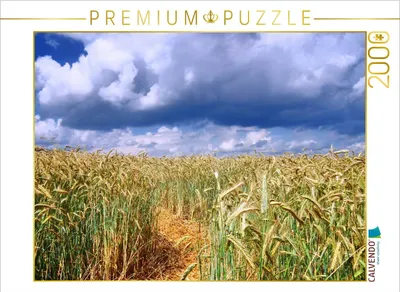 Produktbild von CALVENDO Puzzle Strohweg durch ein Kornfeld in Germerode 2000 Teile Puzzle quer | 2000 Teile Lege-Größe 90x67cm Foto-Puzzle für glückliche Stunden