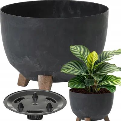 Produktbild von Lamela Roma 29 cm Schale mit Beinen, schwarzer Betoneffekt