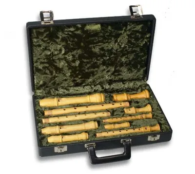 Produktbild von Mollenhauer 7300 Etui (S/S/A/T)