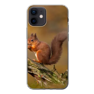 Produktbild von MuchoWow® Handyhülle Schutzhülle Hülle für iPhone 12 Eichhörnchen - Baumstamm - Wald Silikon Softcase Handy Hülle - Schutzhülle