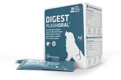 Immagine prodotto di Digestione plasmatica, Taglia: cane di taglia piccola e media