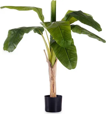 Produktbild von Dekorative Pflanze Kunststoff cable de Eisen Bananenbaum 80 x 120 x 80 cm