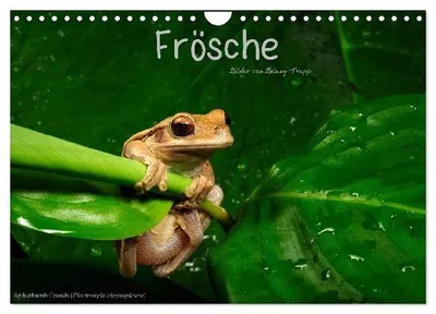 Produktbild von Frösche (Wandkalender 2026 DIN A4 quer), CALVENDO Monatskalender