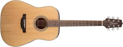 Immagine prodotto di Takamine GD20-NS