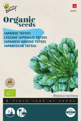 Produktbild von Buzzy Organic Japanische Tatsoi Einjährig -  Samen - Ca. 1 gr