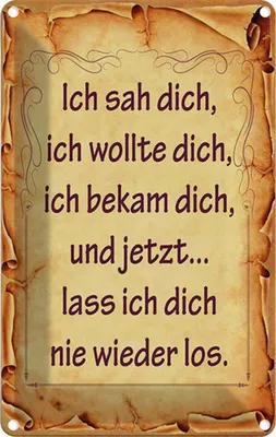 Produktbild von vianmo Blechschild 30x20 cm ich sah dich bekam und Spruch Zitat