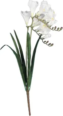 Zdjęcie produktu dla Gałązka 2 FREZJI 54 CM BIAŁA