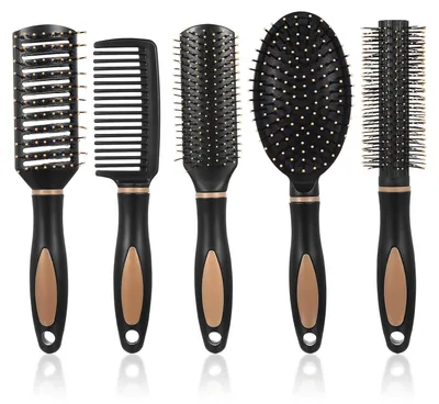 Image de 5 brosses à poils droits