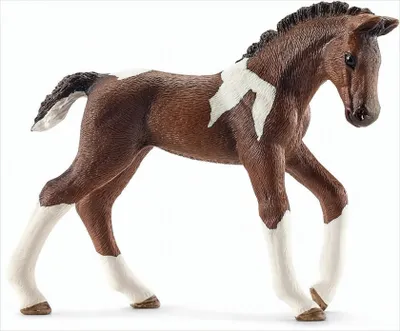 Produktbild von Schleich Trakehner Fohlen