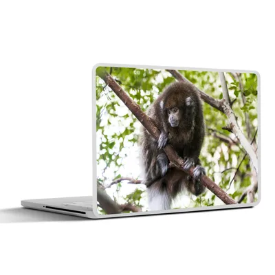 Produktbild von MuchoWow® Laptop Aufkleber Sticker Cover Affe - Zweig - Tier 25x18 cm - Laptop-Deko