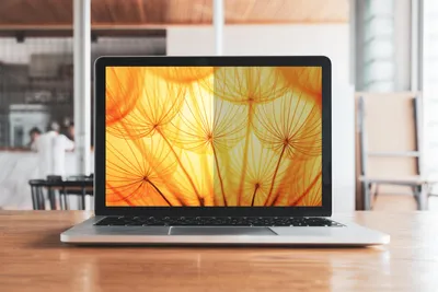 Productafbeelding van 3M 7100312418 3M Bright Screen Blickschutzf. 15"   Laptop (4:3)   BP150C3B