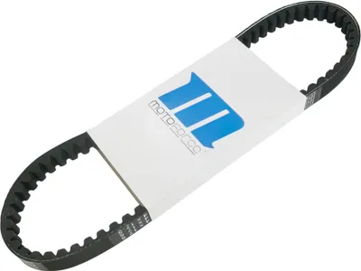 Zdjęcie produktu dla Wariator paska napędowego Piaggio Long Arm do 1998 r