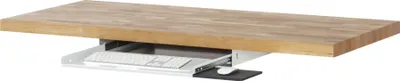 Produktbild von Rau Tastaturauszug 1, B640xT485xH85mm, RAL7035