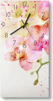 Produktbild von DEQORI Glasuhr 30x60 cm Zahlen 'Orchideenflüstern' Wanduhr Glas Uhr Design leise Küchenuhr