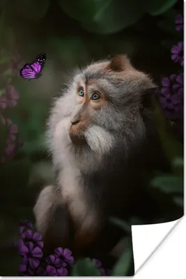 Produktbild von MuchoWow® Poster Affe - Dschungel - Schmetterling - Pflanzen 40x60 cm - Plakate für die Wand - Poster Babyzimmer