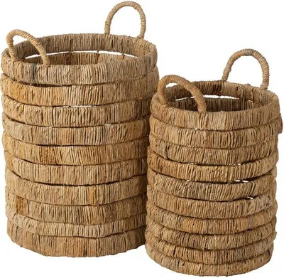 Obrázok produktu pre Cibuľky hyacintu – prírodné – 2 ks
