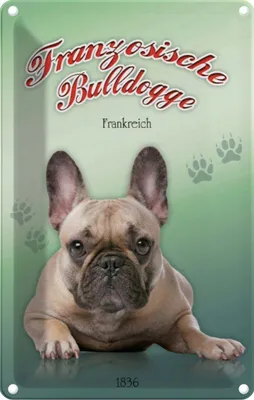 Produktbild von vianmo Blechschild 30x20 cm Hund Französische Bulldogge Tier Haustier