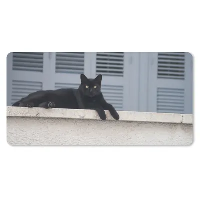 Obrázek produktu pro Podložka pod myš - Cat - Black - Shutters - Girls - Children - Boys - Child - 80x40cm - Podložka pod myš