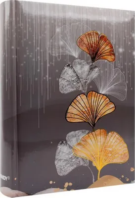 Immagine prodotto di ALBUM TASCABILE SUCCESSIVO CDS 46200 per 200 foto 10x15 cm con descrizione GINKO 1