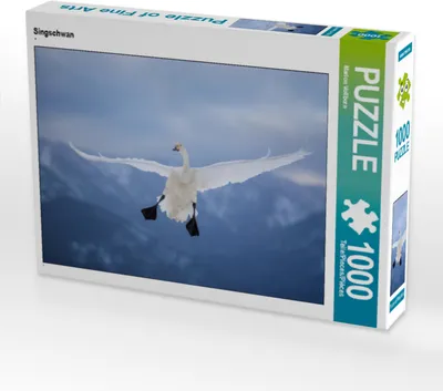 Produktbild von CALVENDO Puzzle Singschwan 1000 Teile Puzzle quer | 1000 Teile Lege-Größe 64x48cm Foto-Puzzle für glückliche Stunden