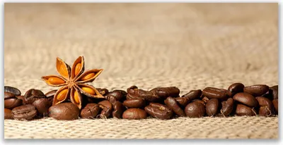 Produktbild von Glasbilder 120x60 Wandbild Druck auf Glas Kaffeebohnen Küche