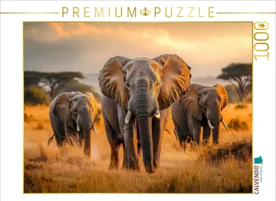 Produktbild von CALVENDO Puzzle Elefanten | 1000 Teile Lege-Größe 64x48cm Foto-Puzzle für glückliche Stunden