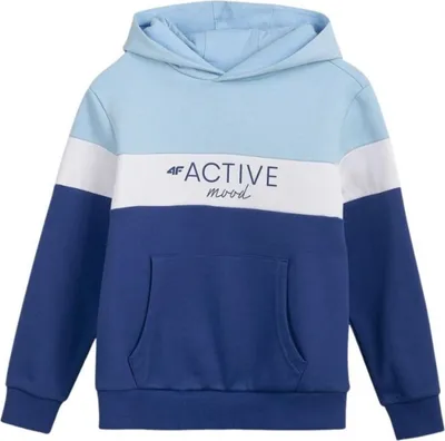 Produktbild von 4F Sweatshirts JBLD002, HJL22JBLD00233S, Größe: 122