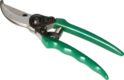Image de Cisaille à haies KOTARBAU® 205 mm en acier forgé pour couper et tailler