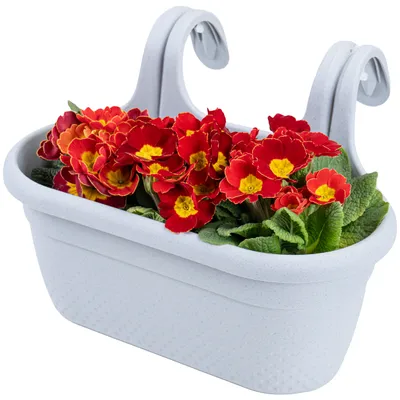 Produktbild von KONZEPT Balkon Blumenkasten mit Halterung – 37 cm Langer Balkonkasten für Geländer, 6,2 L aus wetterfestem Kunststoff, Grau