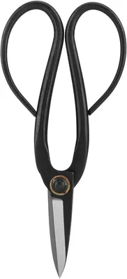 Zdjęcie produktu dla Sekator ogrodowy Nożyce Bonsai 190 mm, stal nierdzewna, ergonomiczny uchwyt, do przycinania roślin