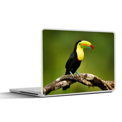 Produktbild von MuchoWow® Laptop Aufkleber Sticker Cover Vogel - Tukan - Regenbogen - Grün - Zweig 25x18 cm - Laptop-Deko
