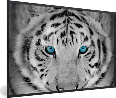 Produktbild von MuchoWow® Gerahmtes Poster Tiger - Winter - Tiere 30x20 cm - Poster mit Schwarzem Bilderrahmen Wandposter Rahmen Foto Bilder - Kunstdruck - Bild-Poster