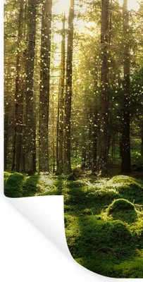 Produktbild von MuchoWow® Wandtattoo Wandsticker Wandaufkleber Bäume - Wald - Moos - Pflanzen - Sonne - Natur 40x80 cm Selbstklebend und Repositionierbar - Repositionierbar - Wasser abweisend