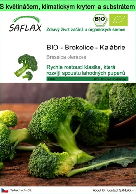 Obrázek produktu pro SAFLAX Garden to go - BIO - Brokolice - Kalábrie - Brassica oleracea - 100 Semena - S květináčem, klimatickou poklicí a pěstebním substrátem